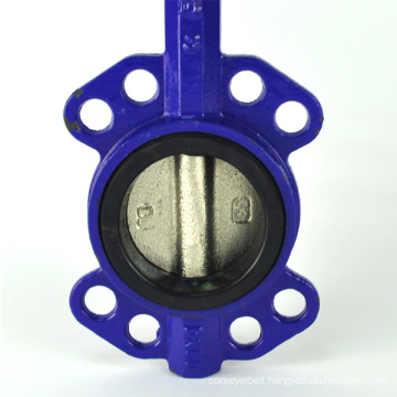 JKTL Distributor top entry butterfly valve